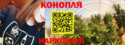 прущие грибы Гатчина