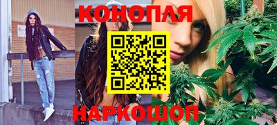 прущие грибы Гатчина