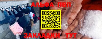 прущие грибы Гатчина