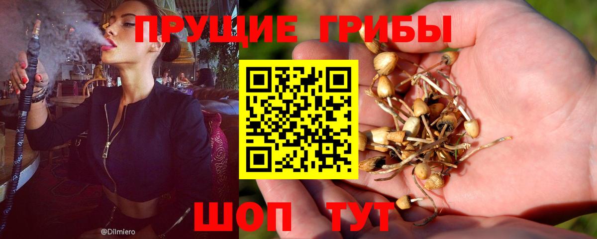Галлюциногенные грибы прущие грибы Избербаш
